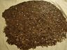 Indian Head Lincoln Wheat Penny Roll From Lot Guaranteed 1800's